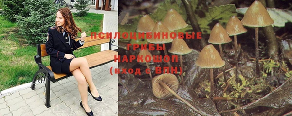 крисы Балахна