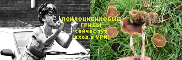 экстази Баксан