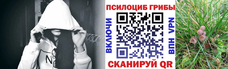 Псилоцибиновые грибы мицелий  Купить где  Узловая 