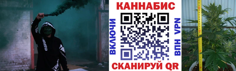 Купить  Узловая  Бошки Шишки планчик 